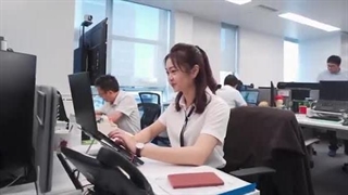 معرفی برند جینکو (JINKO)