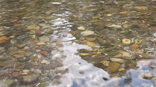 سریال درخواستی دارید توی کامنت بگید