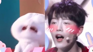 ایشون دیگه بانی ویژوال نیست خوددددد بانیه ❤️❤️کپپپ