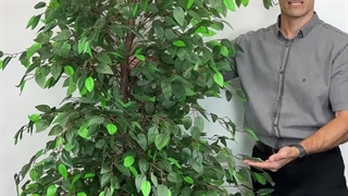 خرید درختچه مصنوعی بنجامین با ارتفاع ۲.۱ متر