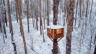 توی یه خونه درختی وسط کولاک زنده موندم!