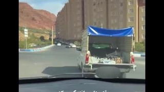 همیشه که سیب زمینی و پیاز نمیشه :))