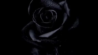 آموزش کامل رفع فیلتری روبیکا تضمینی