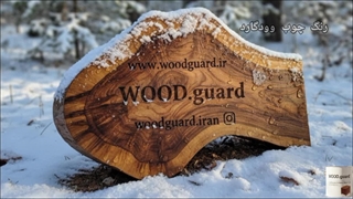 پاسخ به تمام چالش های چوب ترمو با جدیدترین رنگ چوب وودگارد WOOD.guard