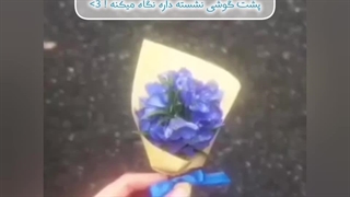 تقدیمی =]