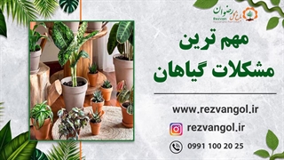 مهم ترین مشکلات گیاهان