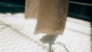 موزیک ویدیو Let Loose از Jackson با زیرنویس فارسی اختصاصی