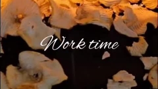 تولید چیپس سالم سیب درختی با دستگاه خشک کن نواری اسوه