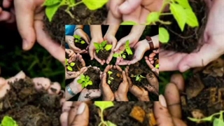 جنسیت و صلح جهانی