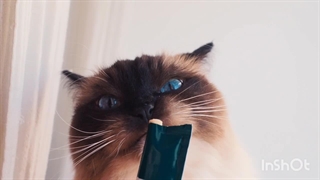 تشخیص غذای رفلکس اصل از تقلبی