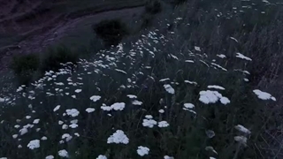 الان قطعا بهترین زمانـه؛