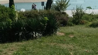 دریاچه چیتگر