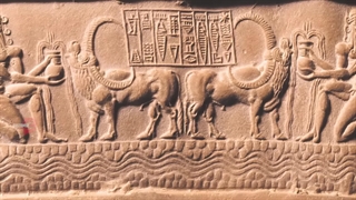 موجوداتی که زمین  دیگر به روی خود نخواهد دید