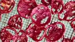 درآمد میلیونی با تولید میوه خشک و دستگاه خشک کن اسوه