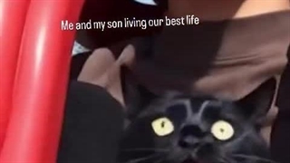 با گربه اش رفته ترند هوای | طنز