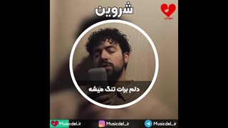 آهنگ جدید شروین - دلم برات تنگ میشه