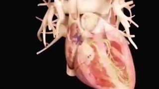 علائم آریتمی قلب چیست