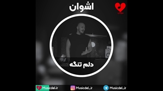 آهنگ دلم تنگه - اشوان