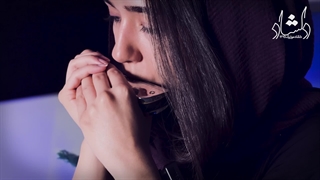 تست صدا سازدهنی کروماتیک Golden Cup 1040