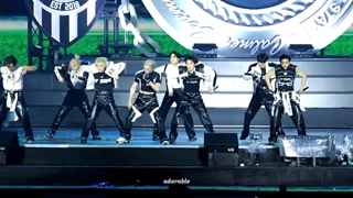 کنسرت استی کیدز تور دومینت half time