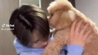 منم سگ میخوام