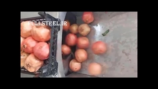 دستگاه دانه کن انار با ظرفیت بالا | معرفی امکانات و قابلیت‌ها (با ویدیو)