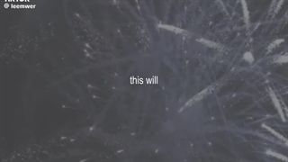 مثل دیوانه.