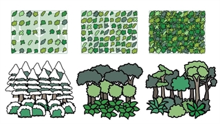 تنوع زیستی در نقاط مختلف زمین