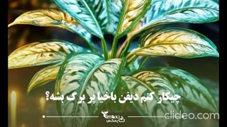 چکار کنیم دیفن باخیا پاجوش بزنه؟