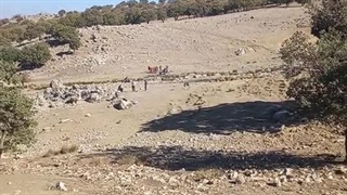 ساز و دهل چشمه راکن دورود