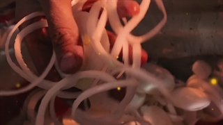 دستگاه اسلایسر صنعتی و خلال کن سیب زمینی و پیاز اسوه صنعت