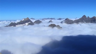 عودباز، فروش تخصصی عود و لوازم یوگا