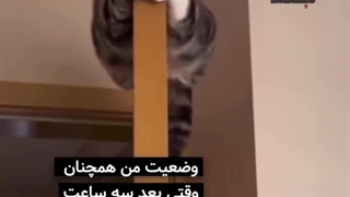 فقط من این طوی ام یا شماهم این طوری هستین