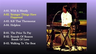 高橋幸宏 アルバム 勝手にレビュー＃５ Wild & Moody Yukihiro Takahashi YMO Yellow Magic Orchestra