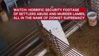 شهرک‌نشینان صهیونیست به خانه فلسطینیان حمله می‌کنند و مزارع و دام‌های آنها را به طرز وحشتناکی می‌کشند