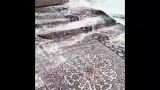 قالیشویی و مبل شویی مروارید در چابهار