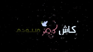 آیموی(کاش کبوتر بودم)