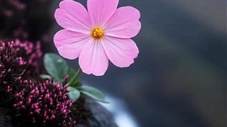 پاداش بزرگ - سوره نساء آیه ۴۰ (قرآن مهر)