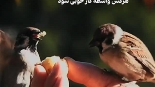 خیرخواهی - سوره نساء آیه ۸۵ (قرآن مهر)