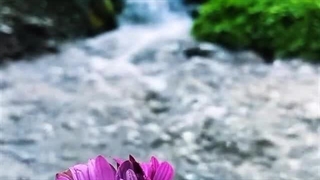 دانای حکیم - سوره فاطر آیه ۲ (قرآن مهر)