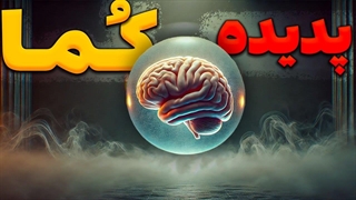 چرا و چگونه به کما می رویم؟ چه می بینیم؟