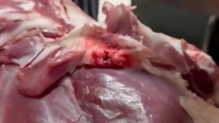 کباب  از سیخ نیفته!