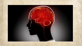 ۷ روش علمی برای افزایش تمرکز و حافظه