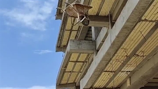 15- روش درست انتقال مصالح با فرغون - دکتر فرزاد روشندلی