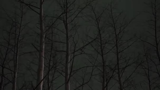 من یه کانال دیگه هم دارم ( ادامه کپشن )