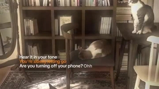 به ویدیو توجه نکنید لطفا (کپ)