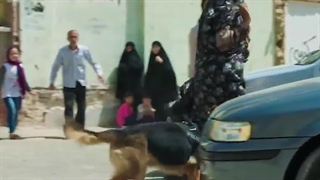 مرگ تلخ و دلخراش تیدا سگ ژرمن شپرد امدادگر معروف ایران بر اثر کهولت سن