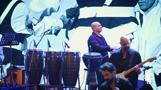 دانلود موزیک ویدیو گروه دارکوب به نام مجنون اجرای زنده