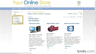 ۲۳- بررسی قابلیت‌های Cartweaver