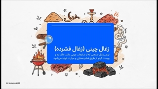 زغال چینی راهنمای یک انتخاب هوشمندانه